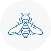 Bee Nest Removal Whitechapel