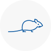 Mice Exterminators In Whitechapel