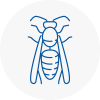 Whitechapel Wasp Nest Removal